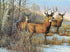 Buck Deer and Doe Diamond Painting